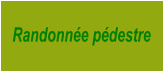 Randonnée pédestre