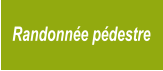 Randonnée pédestre